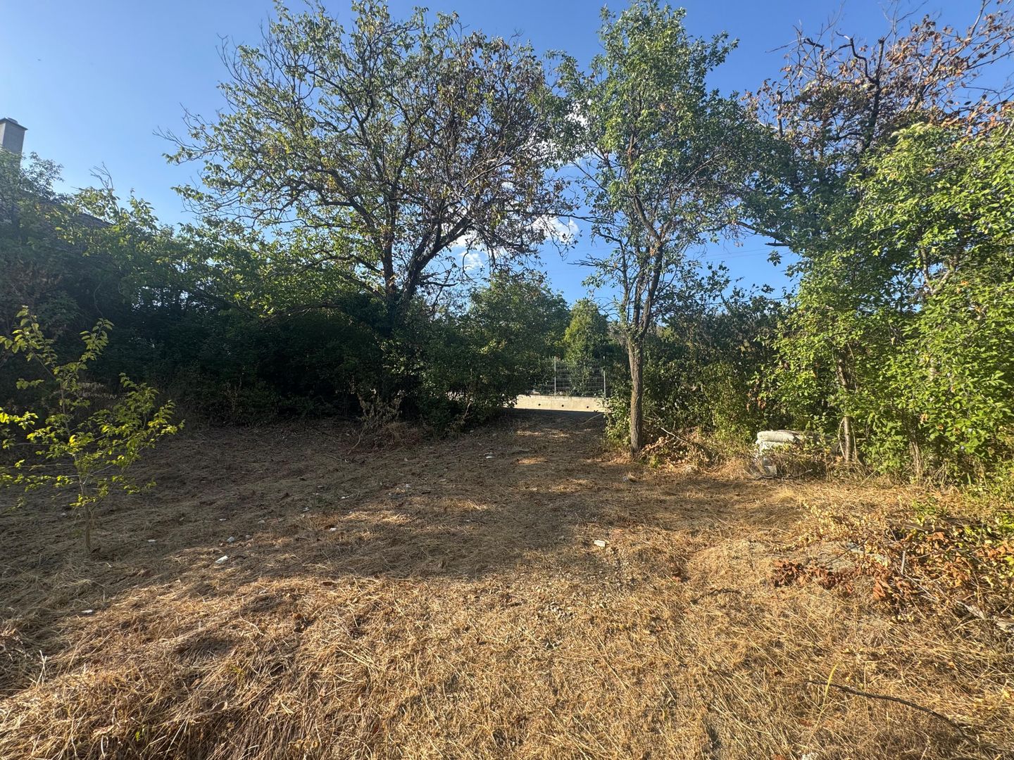 Teren intravilan 1511 mp strada Podgoria - Poză 2