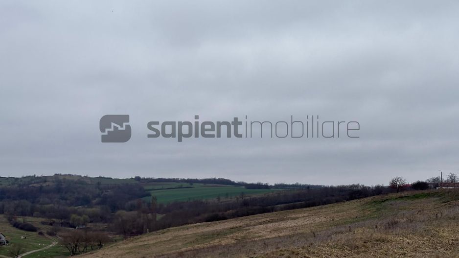 Teren agricol - Poză 5