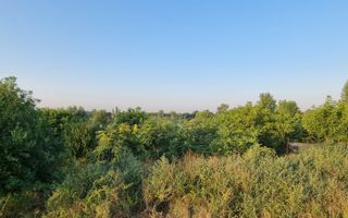 Teren cu Vedre Lac - Poză 5