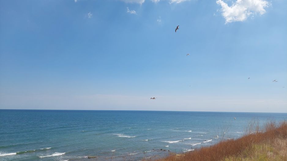 Teren de vis pe malul mării, Goflful Francezului, Costinesti - Poză 4