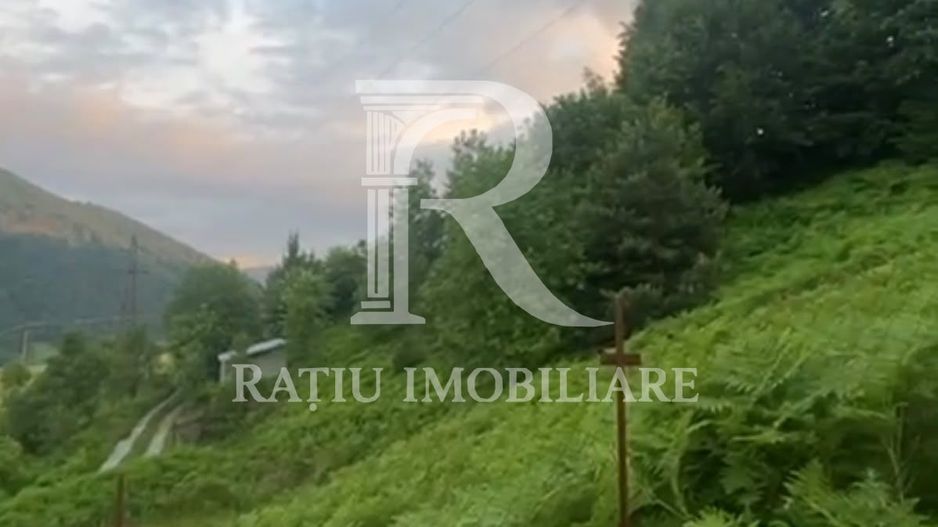Teren 10.900mp | Panoramă în Apuseni | Remeți -Ideal pentru Investitii - Poză 9