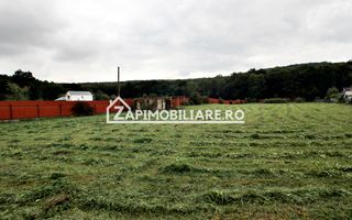 Teren Intravilan 5400 mp Corunca Valea Iubirii - Poză 7