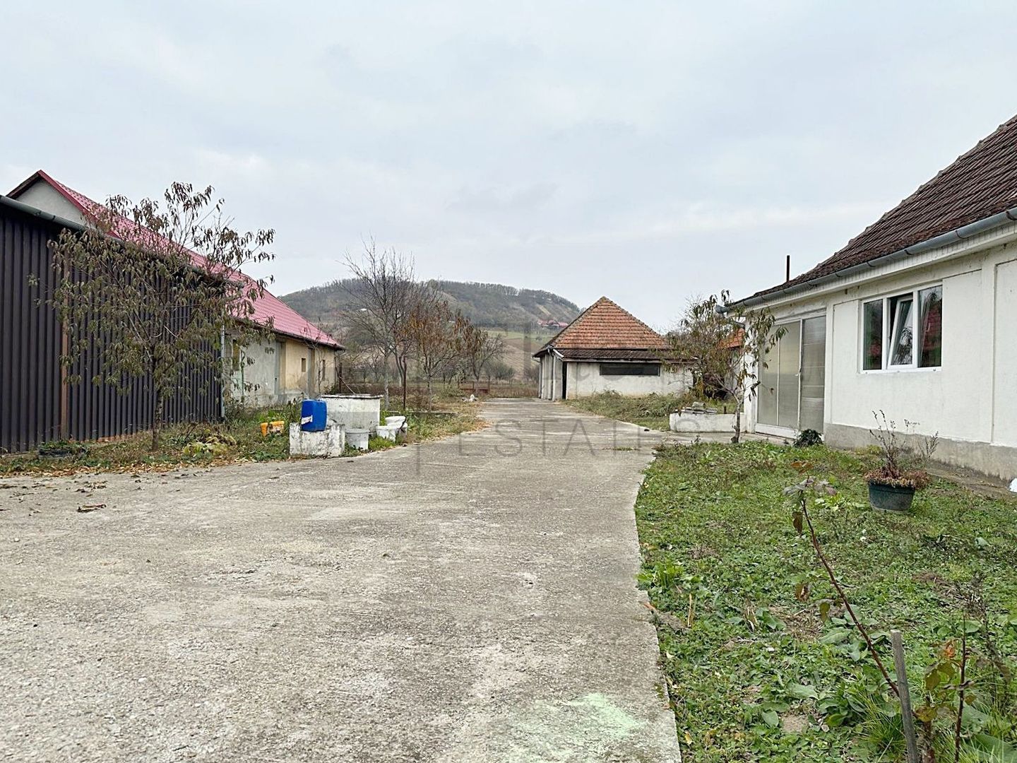 Casa cu 3 Hale si teren 8000 mp in Ulileacu de Cris, Bihor - Poză 1