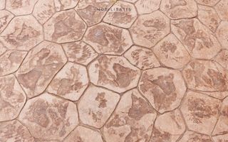 Casa tip Duplex “Mica de ea” pe Parter – Locuință Ideale pentru Familii Mici! - Poză 16