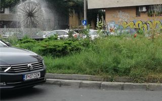 vanzare casa curte - Poză 7