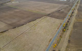 Teren 22.500 mp–Pecica, jud. Arad,Posibilitate PUZ - Poză 10