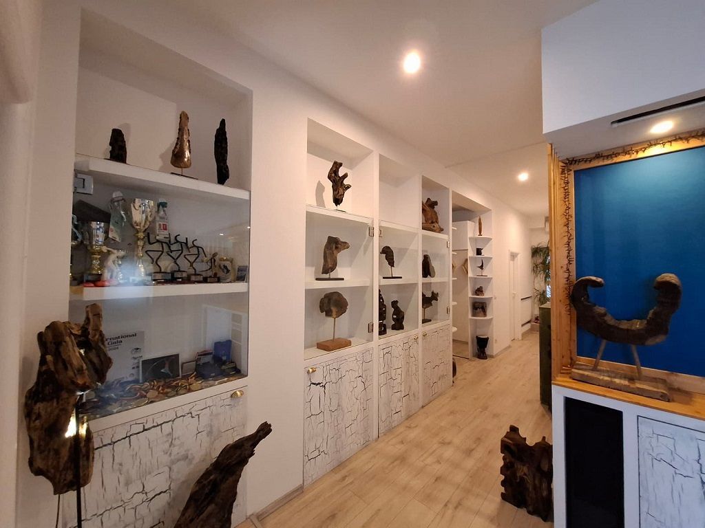 Penthouse 3 camere | 113m2 | Sisești-lac Grivița - Poză 9