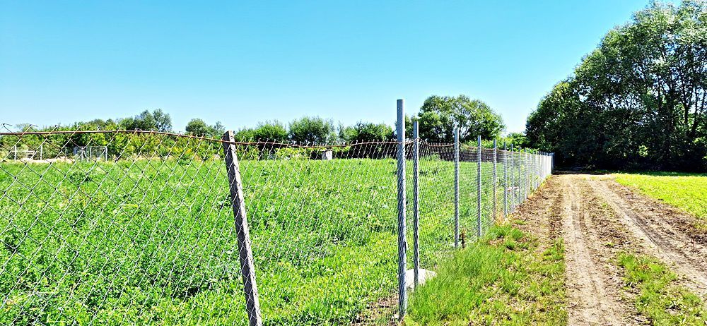 Sacele, teren intravilan 1386 mp, parau, priveliste superba, 45 euro/mp - Poză 4