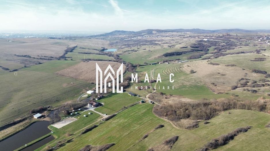 Teren 6,75 ha | Panoramă și Acces Excelent | Dealul Daii - Poză 2