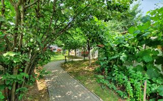 Casa5 camere + garaj si anexa, 507 mp teren,  zona Schit - Poză 5