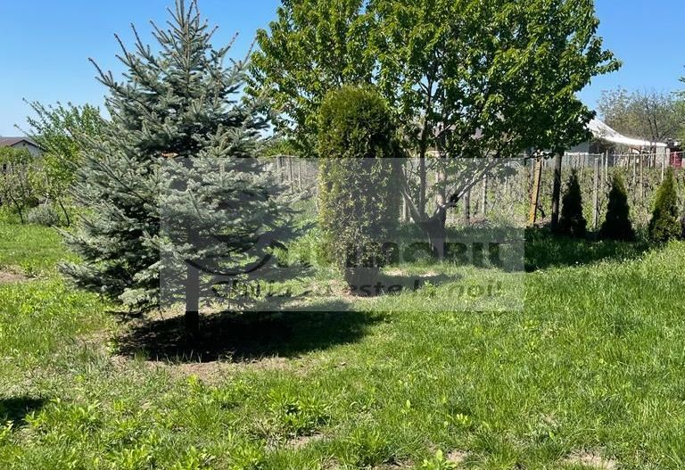 CASA/VILA DE INCHIRIAT - MOARA DE VANT - 800 EURO - Poză 19