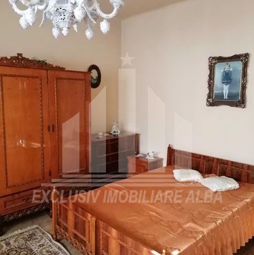 Ocazie! Casa individuala de vanzare in Centru - Poză 3