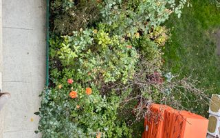 3 camere/ ultracentral / posibilitate mansardare - Poză 9