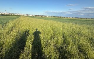 Teren extravilan de vânzare în zona Osoi – 2.650 mp | Front 10 m - Poză 4