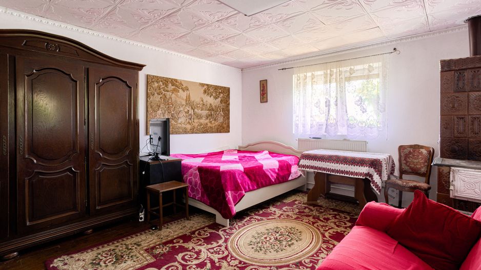 Casa de vanzare in Bodrogu Nou, COMISION 0 - Poză 9