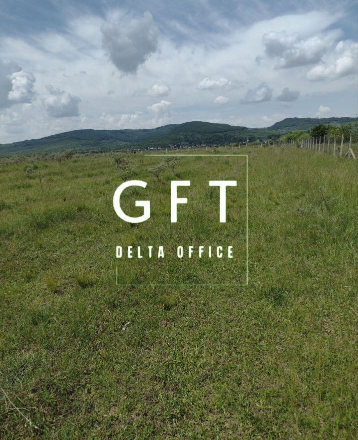 Teren 73,962 mp imprejmuit-ideal agricultura/investitie-Sesul Jelnei - Poză 2