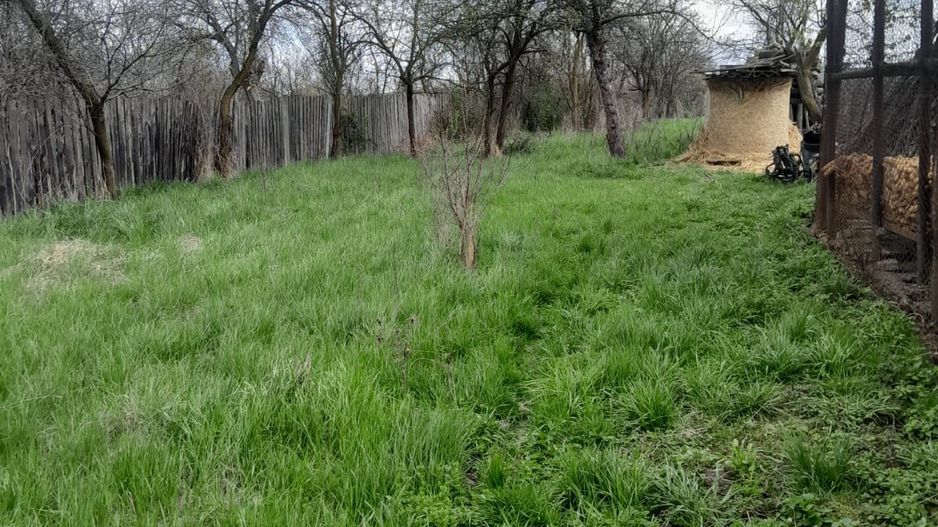 Teren de vanzare in Vaidei - Poză 5