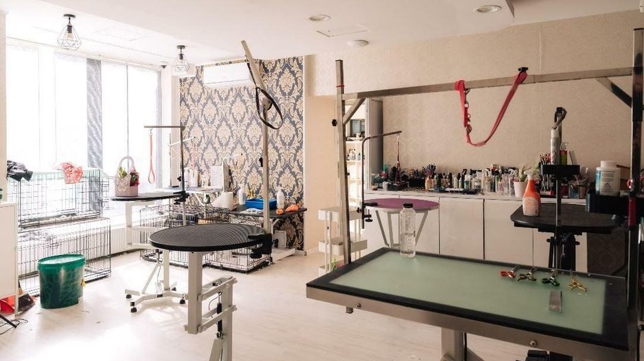 SPAŢIU VERSATIL DE VÂNZARE / ÎNCHIRIERE 211mp. Sect3. - Poză 9