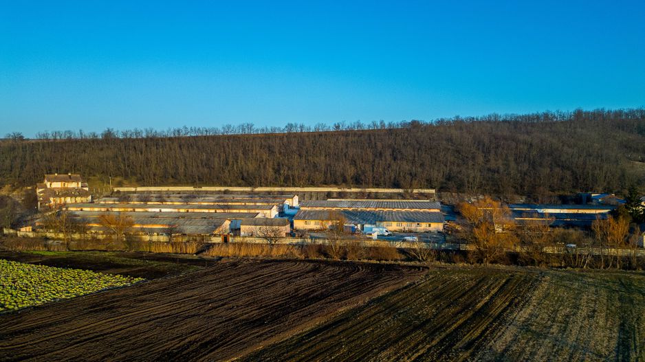 Fosta Ferma a Partidului de la Horgesti - de vanzare - Poză 22