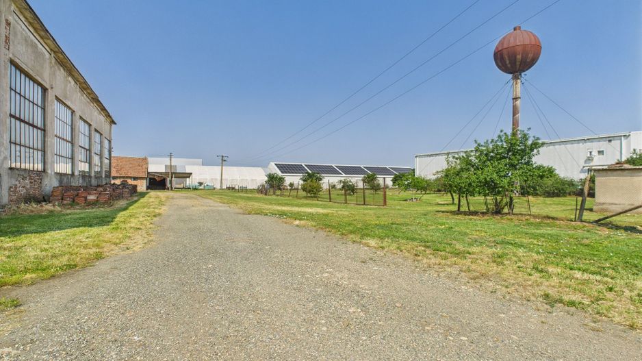 Complex industrial cu hale și teren  în Orțișoara - Poză 23