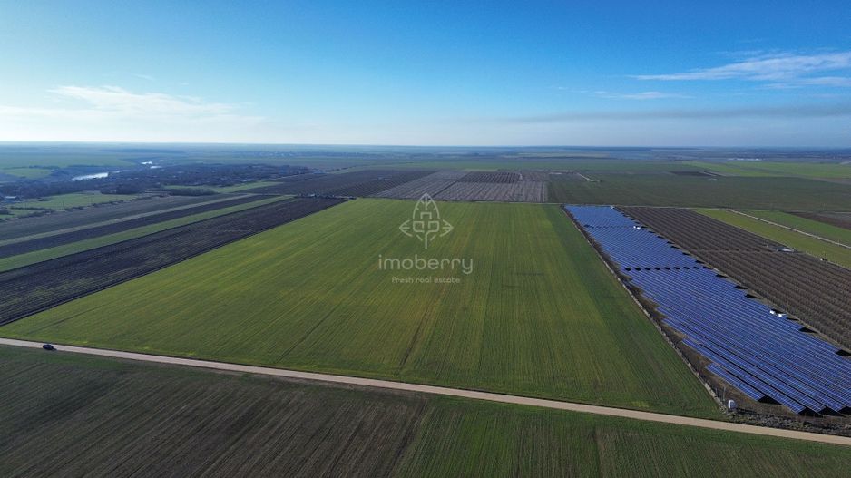 Vând teren extravilan – 11 ha, sat Valter Mărăcineanu, jud Giurgiu - Poză 3