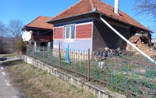Două case de vânzare – Cerisor – teren generos 6996 mp - Poză 1