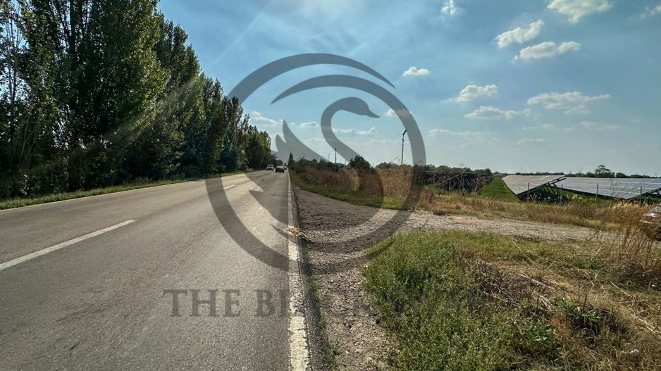 Teren extravilan de vanzare | 9882mp | Berceni - Prahova | Comision 0% - Poză 3