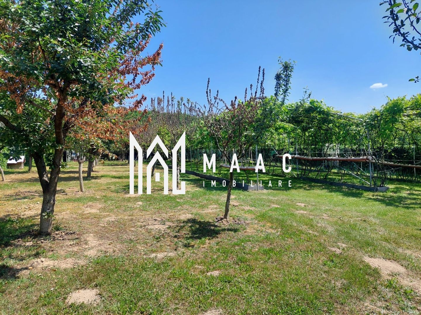 Teren | Intravilan 2.166 Mp | Construcție existenta |  Pădurea Dumbrava - Poză 4