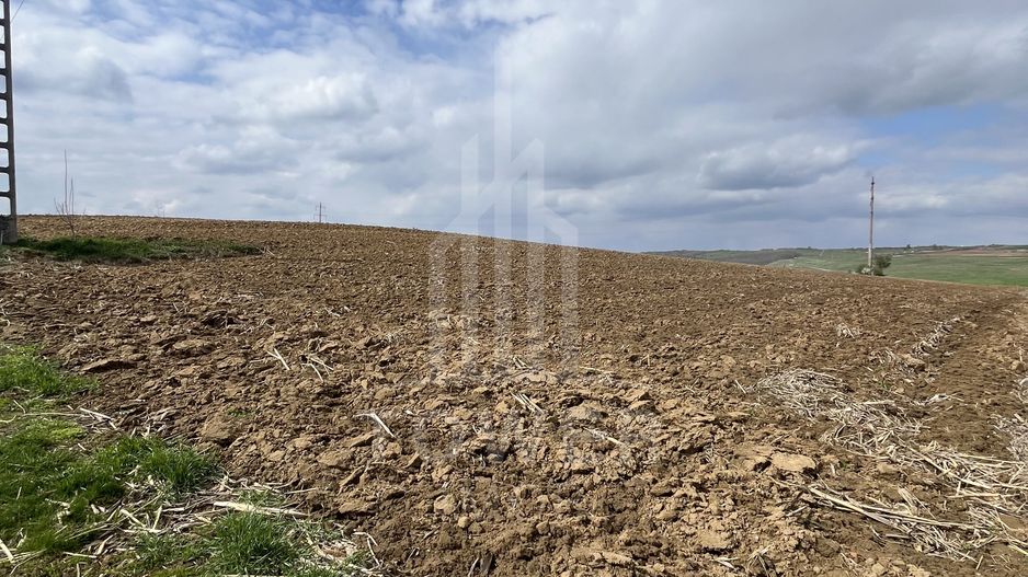 Teren  de vânzare DAIA  OPORTUNITATE  pentru dezvoltatori - Poză 1