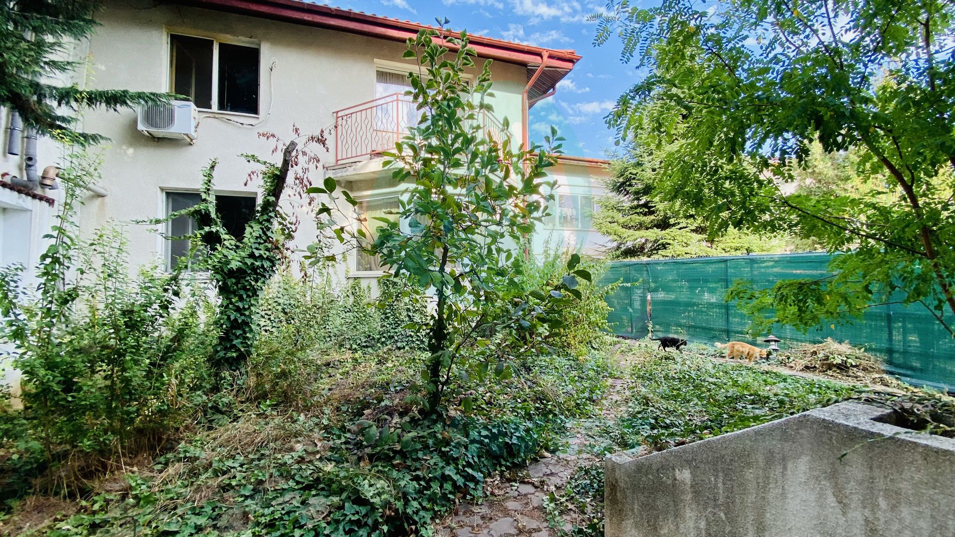 2 VILE CU TEREN DE 811 MP - Poză 11