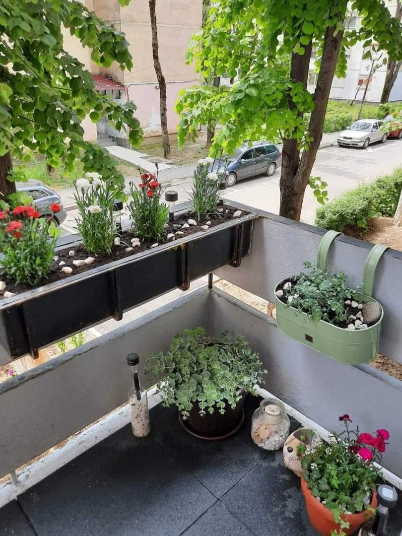 Apartament 2 camere - Poză 6