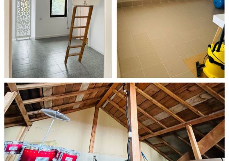 Vila Plopii fara sot, Bucium - Proprietar - Poză 4