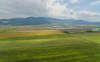 Oportunitate de investitie la DN1, 5.000 mp, zona aeroportului Brasov - Poză 2