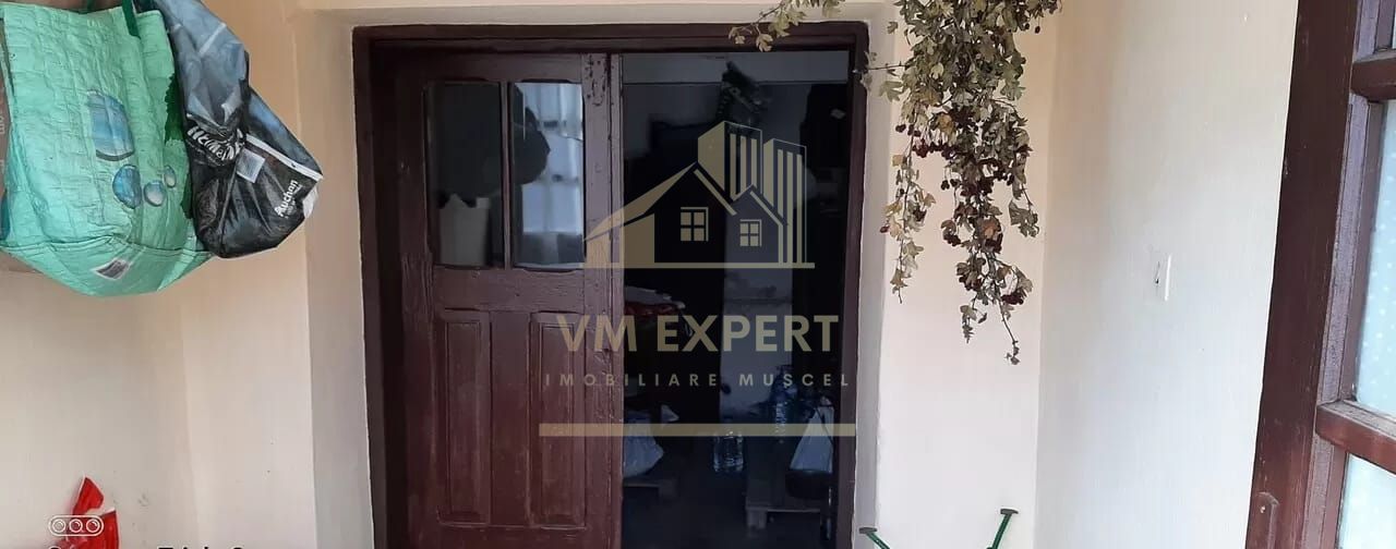 CASA 3 CAMERE, TEREN 5000 MP, RUCAR, ARGES - Poză 9