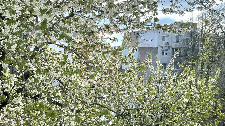 🏡 Apartament 2 camere, etaj 3, stradal – zonă excelentă Micro 40 - Poză 15