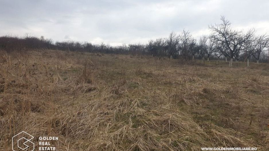 Teren intravilan 3841 mp, situat central, Covasint - Poză 2