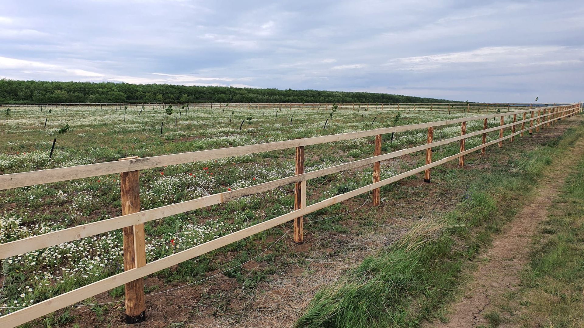 Teren (livada) destinatii multiple, imprejmuit, zona super - Poză 2