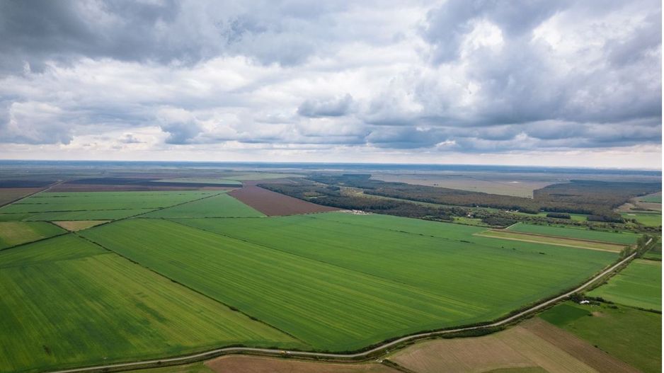 Teren extravilan în Sânnicolau Mare 14.6 ha - Poză 1