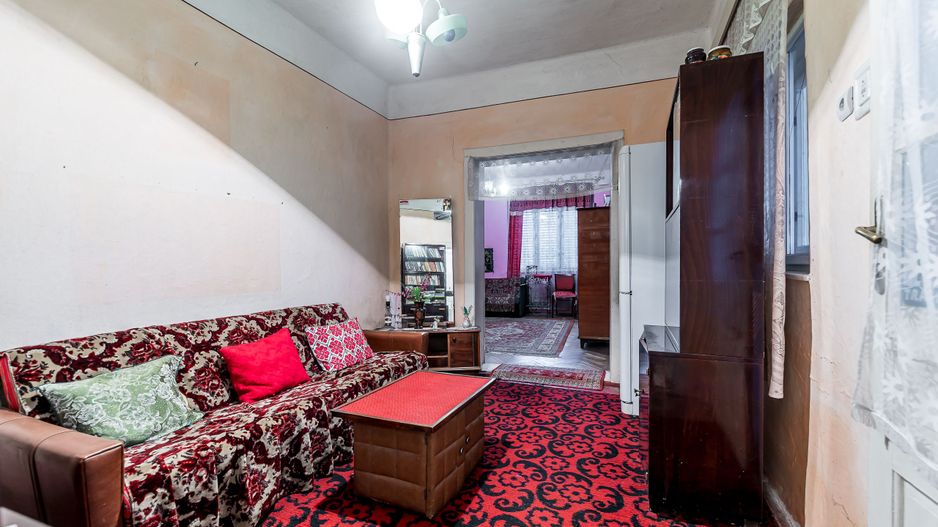 Casă + livadă tânără + curte 2.500 mp în Dorobanți - Poză 10