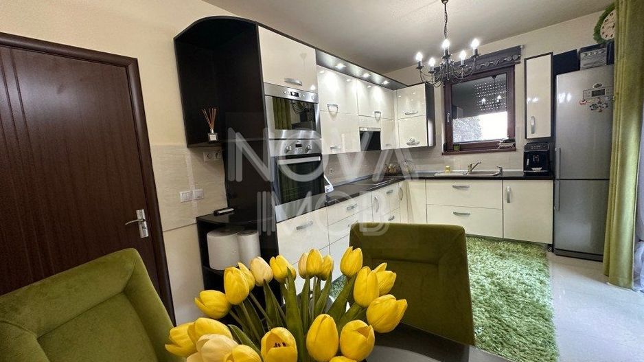 Casa individuala de vanzare - Sura Mare - Poză 28