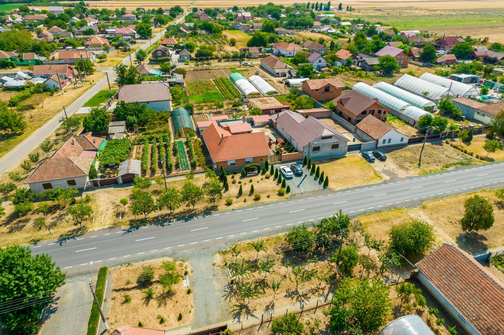 Casă spațioasă la sol în Macea - Poză 38