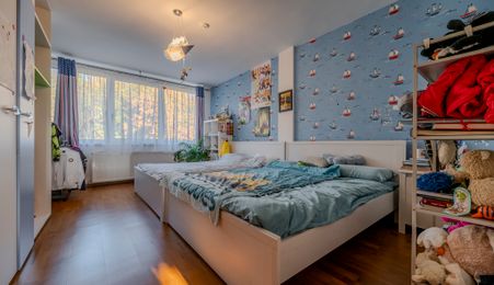 Casa superba cu iesire la parcul Sub Arini 608 mp teren