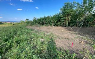 Oportunitate de Investiție Strategică | Teren Intravilan | Colonia Becas - Poză 3