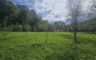 Oportunitate de investiție în Breaza – teren intravilan de 3.591 mp - Poză 10