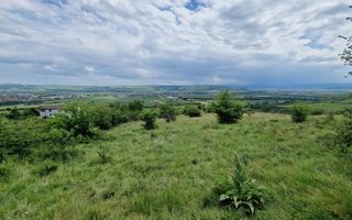 Teren extravilan de vanzare, Paclisa - Poză 1