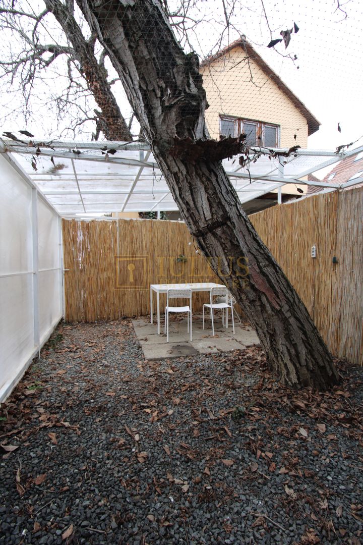 Bv. Victor Babes.Tiny House for rent, pet-frinedly. - Poză 11