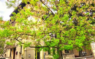 Parter vilă + demisol | Aviatorilor – Herăstrău | Grădină - Poză 1