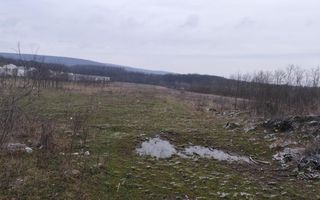 Teren intravilan 7500 mp - Poză 1