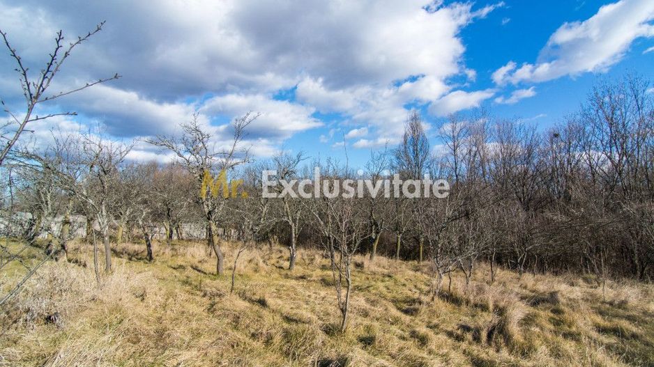 Casa traditionala argeseana – comuna Vedea, jud. Arges - Poză 6