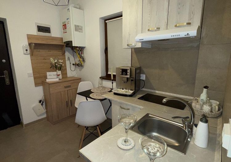 Garsoniera de inchiriat zona Damila Ford - Poză 1